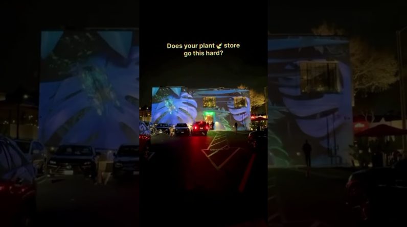 We could stand in the parking lot and look at 📍 all night 😆🤩