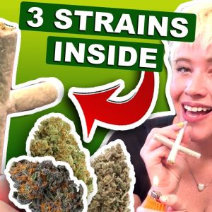 TRIPLE THE STRAINS, TRIPLE THE FUN – Our 3g Trifecta Cross Joint! 💨✨