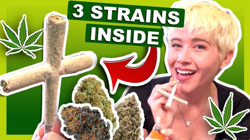 TRIPLE THE STRAINS, TRIPLE THE FUN – Our 3g Trifecta Cross Joint! 💨✨