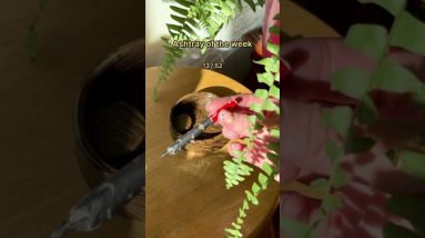 Ashtray of the week 13/52 💨 this cute little “wooden” soaking tub came from 💚 🪐 Papers from