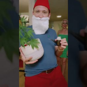 Happy Halloweed from a green fairy & garden gnome 🧚‍♀️🍄✨💨