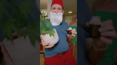 Happy Halloweed from a green fairy & garden gnome 🧚‍♀️🍄✨💨