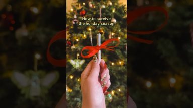 How we’re staying stress free during the holidays! 🎄💨😄