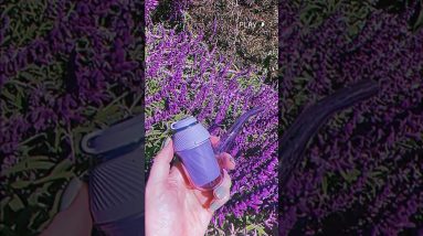 Lavender Haze vibes with the new BLOOM 💜 Proxy & Hot Knife ✨