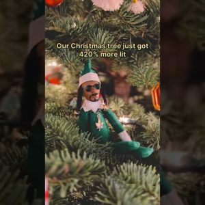 This instantly became an heirloom ornament 🎄😆