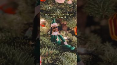 This instantly became an heirloom ornament 🎄😆