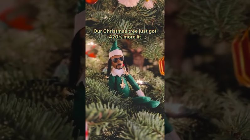 This instantly became an heirloom ornament 🎄😆