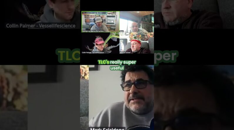 Dr Mark on Ryan Lee's Presentation on Secondary Metabolites