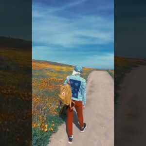 Spring has arrived in Southern California 😍🌼 Alice is wearing her new favorite jacket from 💚