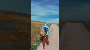 Spring has arrived in Southern California 😍🌼 Alice is wearing her new favorite jacket from 💚