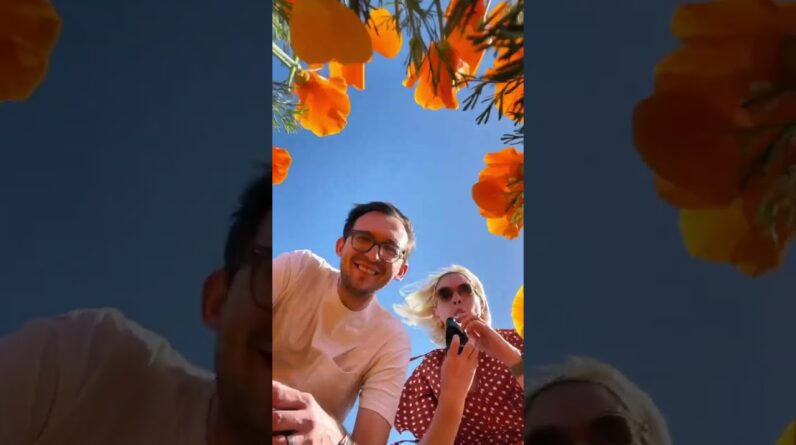 POV: you’re the jar of wax we’re about to pack for our next dab in the flower fields 🧡☺️ *no