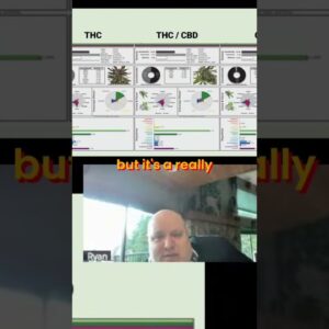 Revolutionary Plant Breeding: Optimizing Cannabinoids for Health