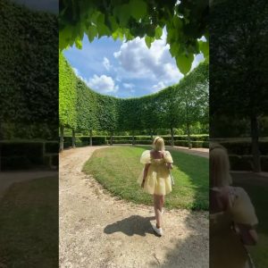 The most magical spot ✨ Tag who’d you sesh here with ☀️😌🌳