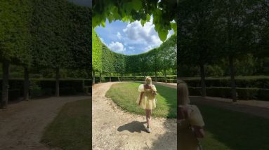 The most magical spot ✨ Tag who’d you sesh here with ☀️😌🌳