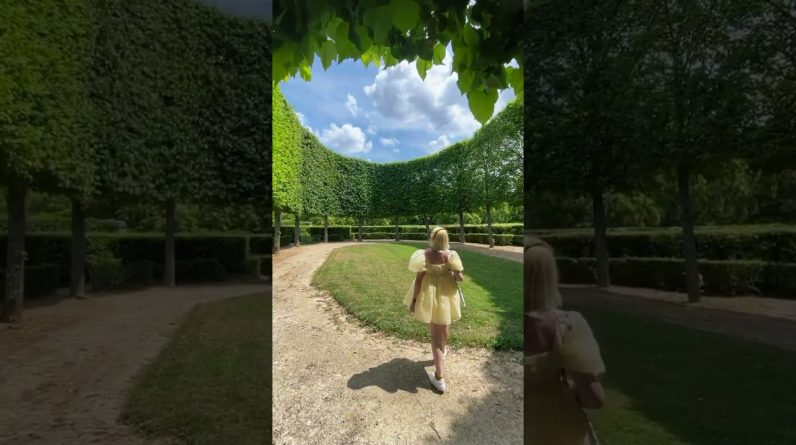 The most magical spot ✨ Tag who’d you sesh here with ☀️😌🌳