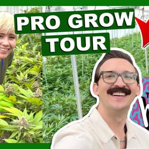 The Happy Cannabis Farm Tour – Authentic OG Grow!