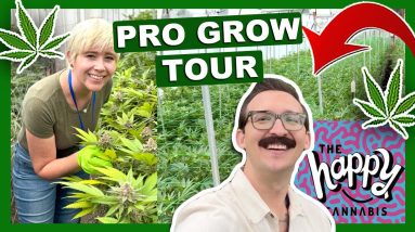 The Happy Cannabis Farm Tour – Authentic OG Grow!