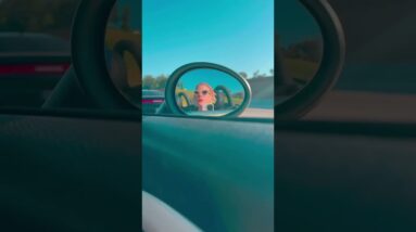 The vibe we’re chasing all summer 🌞