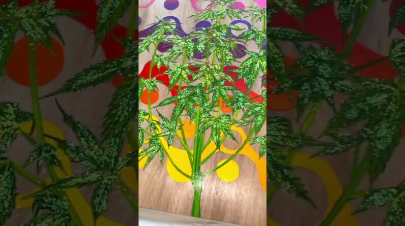 Unboxing and hanging our new painting from 😍 We love it so much!