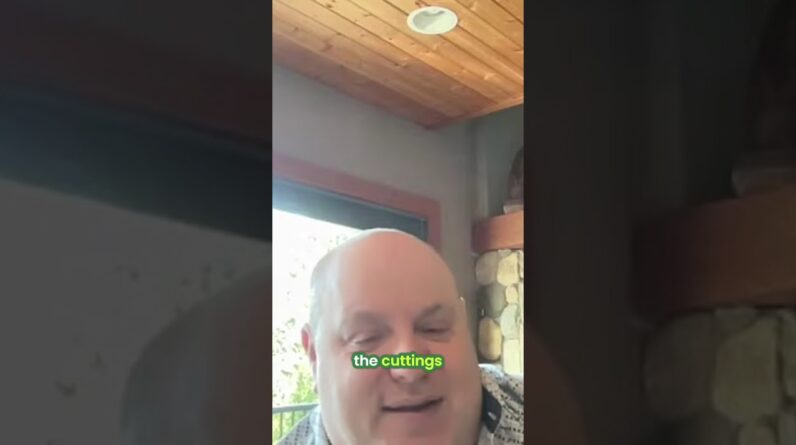 Your IP is your genetics